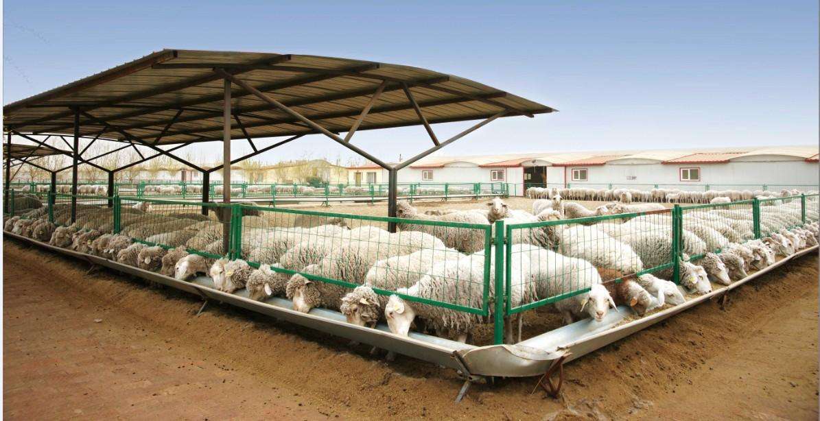 養(yǎng)殖場安裝視頻監(jiān)控