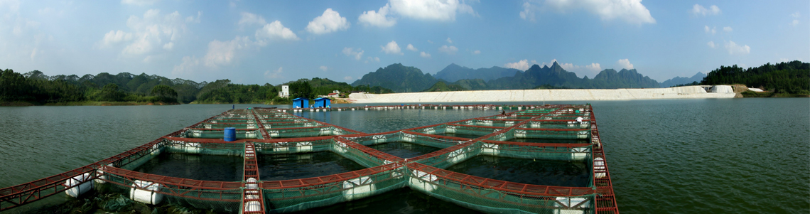 養(yǎng)殖場(chǎng)直播