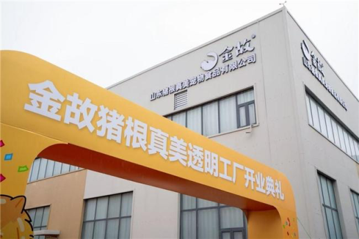 金故透明工廠實(shí)時(shí)透明直播 開創(chuàng)"云監(jiān)工"式全民監(jiān)督模式